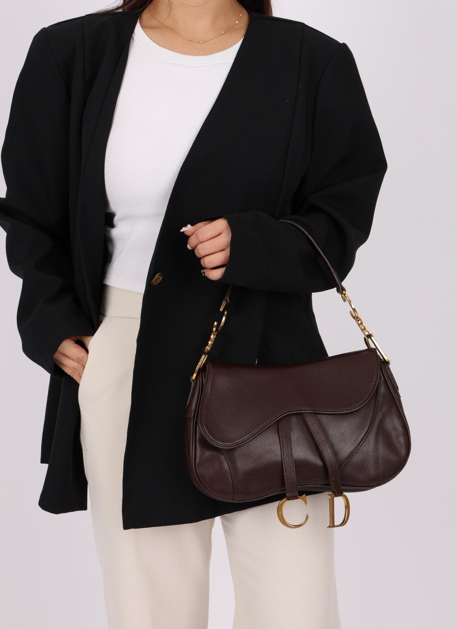 Dior 2001 Chocolate Calfskin Double Saddle Bag - FashioNica