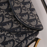 Dior 2001 Trotter Double Saddle Bag - FashioNica