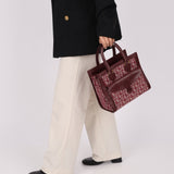 Dior 2002 Red Trotter Pocket Tote - FashioNica