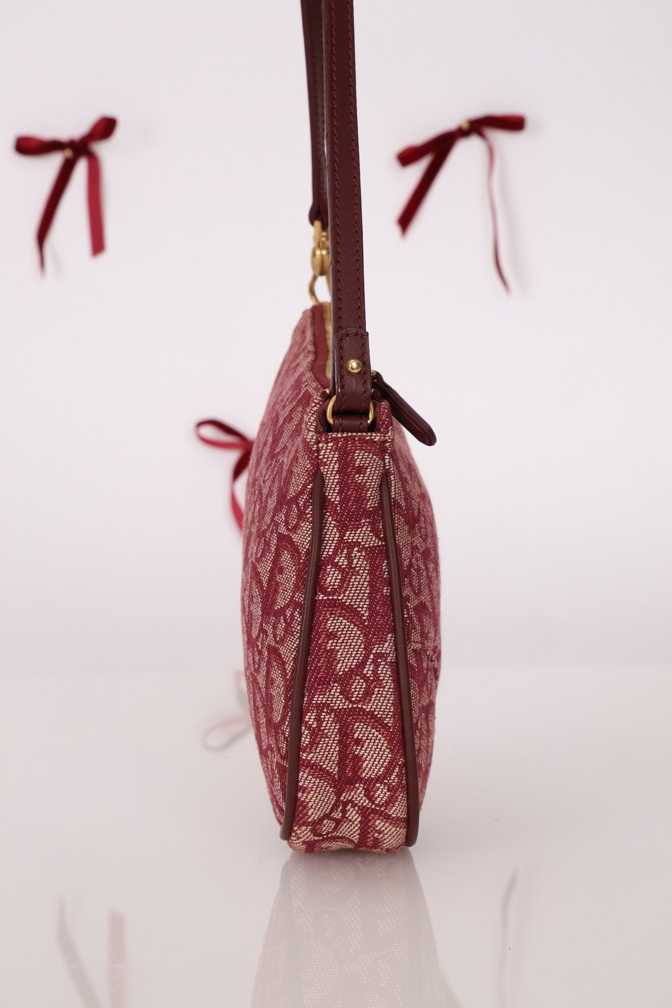 Dior 2002 Red Trotter Saddle Pochette - FashioNica