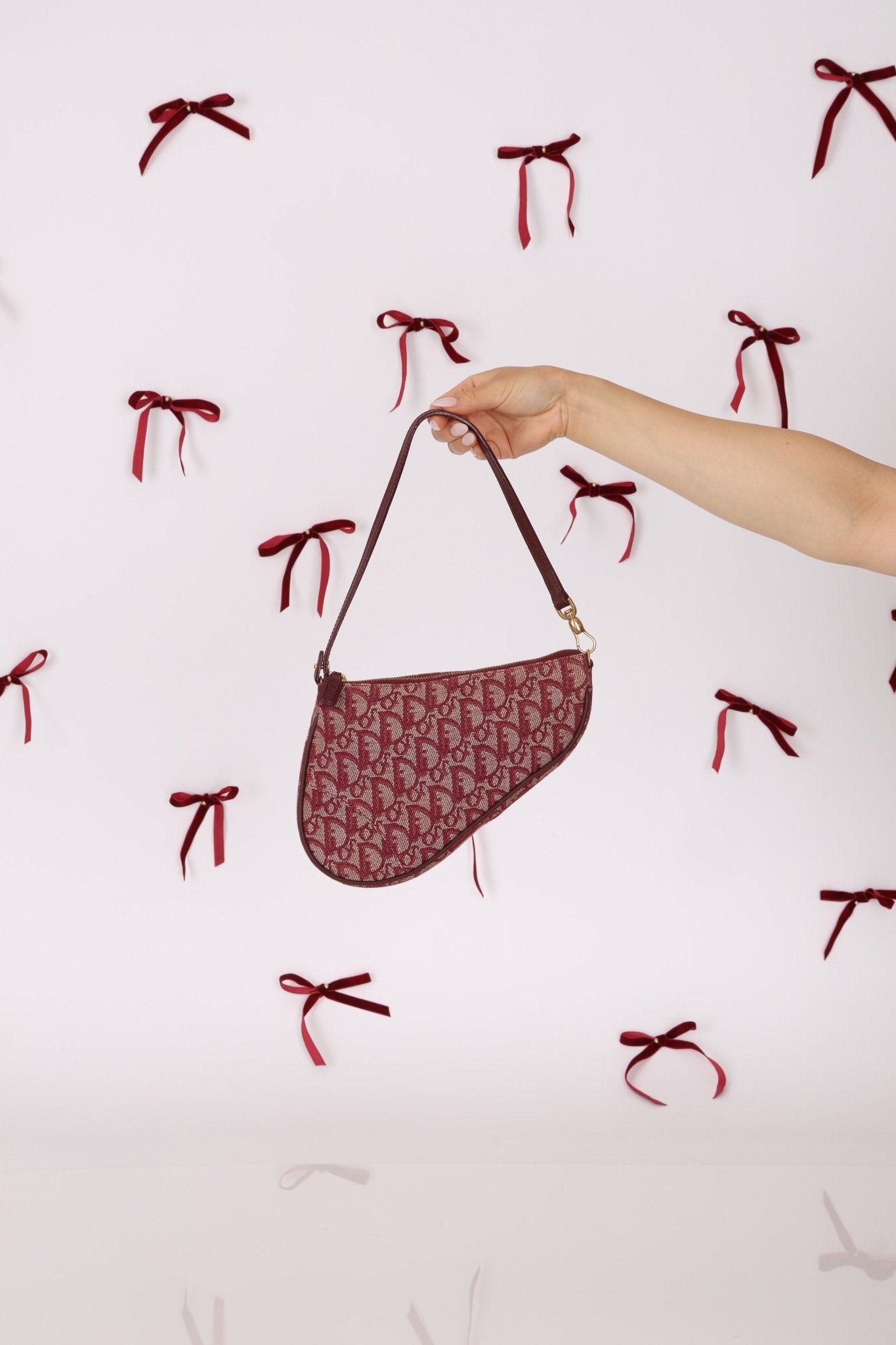 Dior 2002 Red Trotter Saddle Pochette - FashioNica