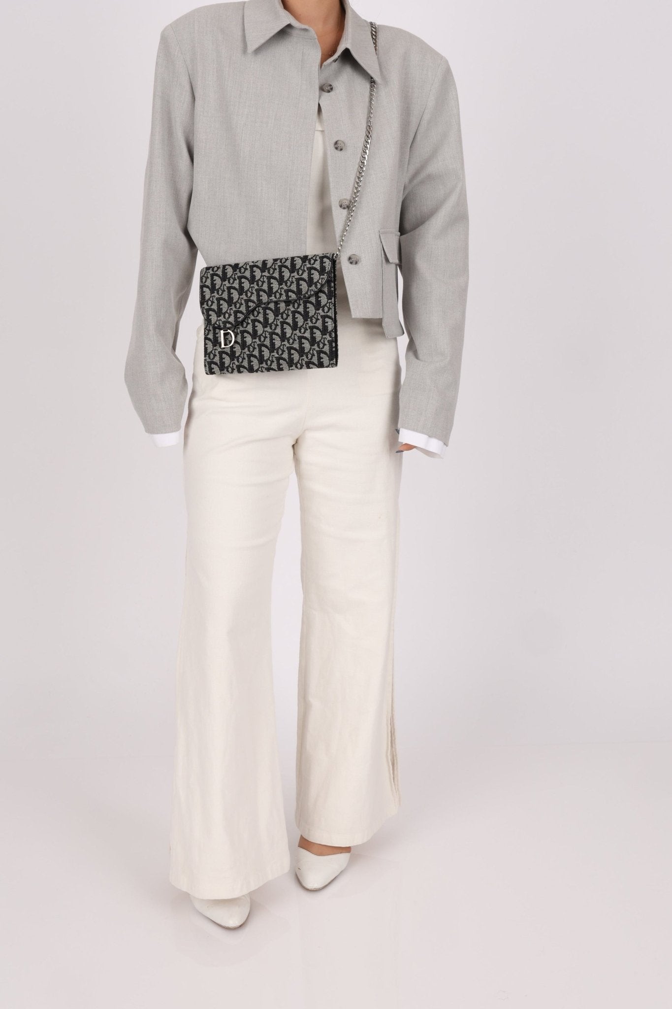 Dior 2002 Trotter Saddle Passport Portfolio - FashioNica