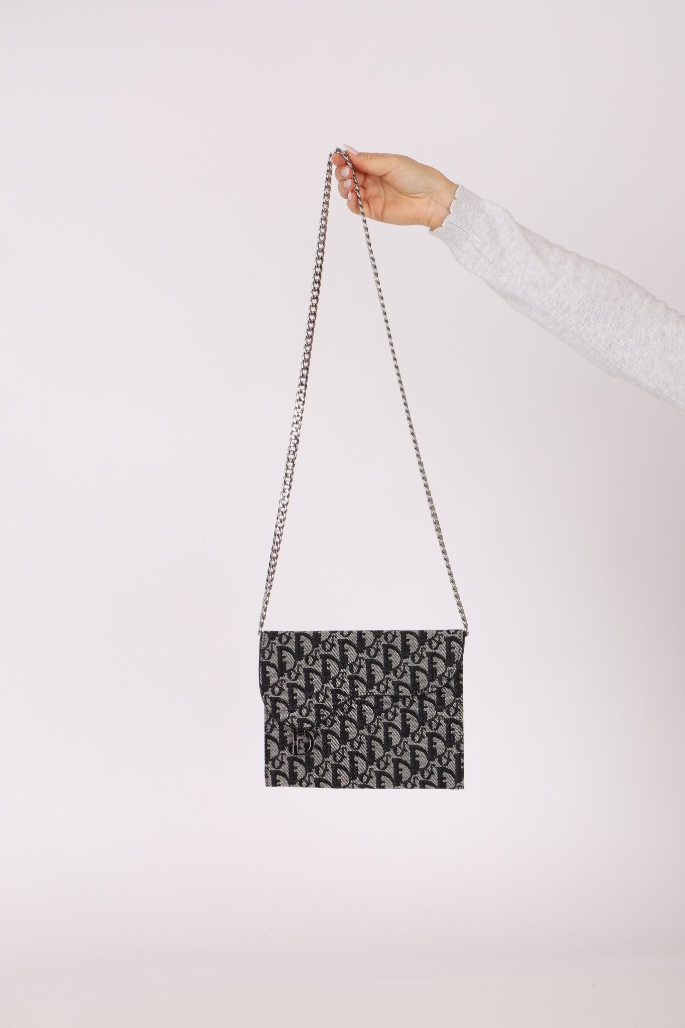 Dior 2002 Trotter Saddle Passport Portfolio - FashioNica