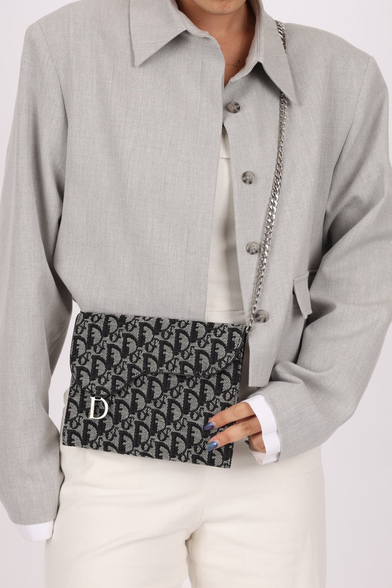 Dior 2002 Trotter Saddle Passport Portfolio - FashioNica