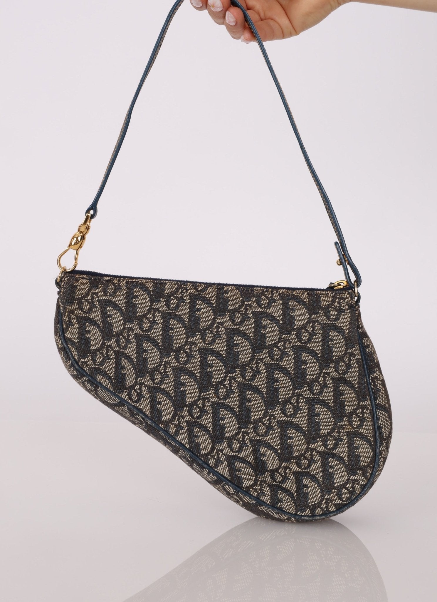 Dior 2002 Trotter Saddle Pochette - FashioNica