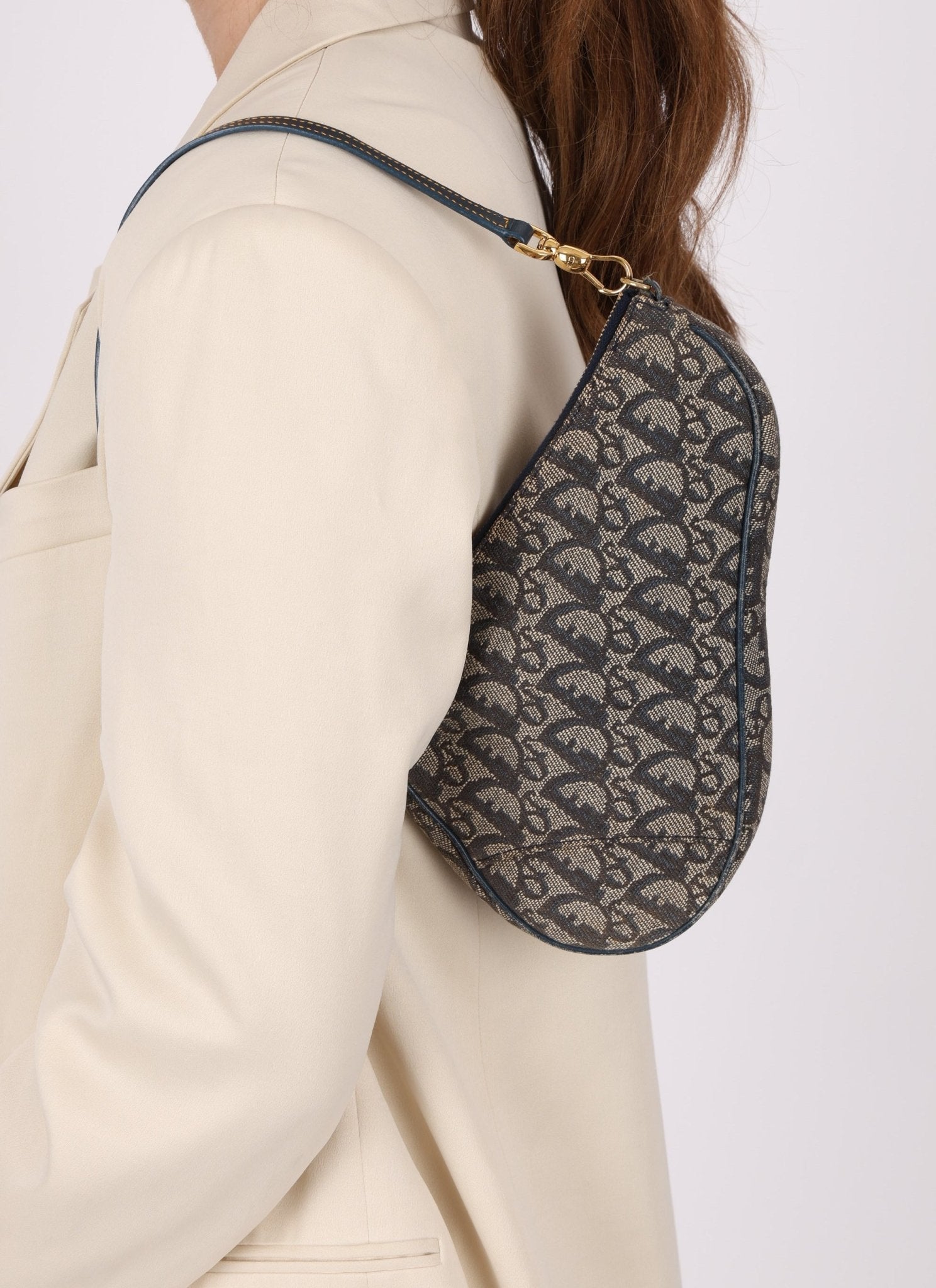 Dior 2002 Trotter Saddle Pochette - FashioNica