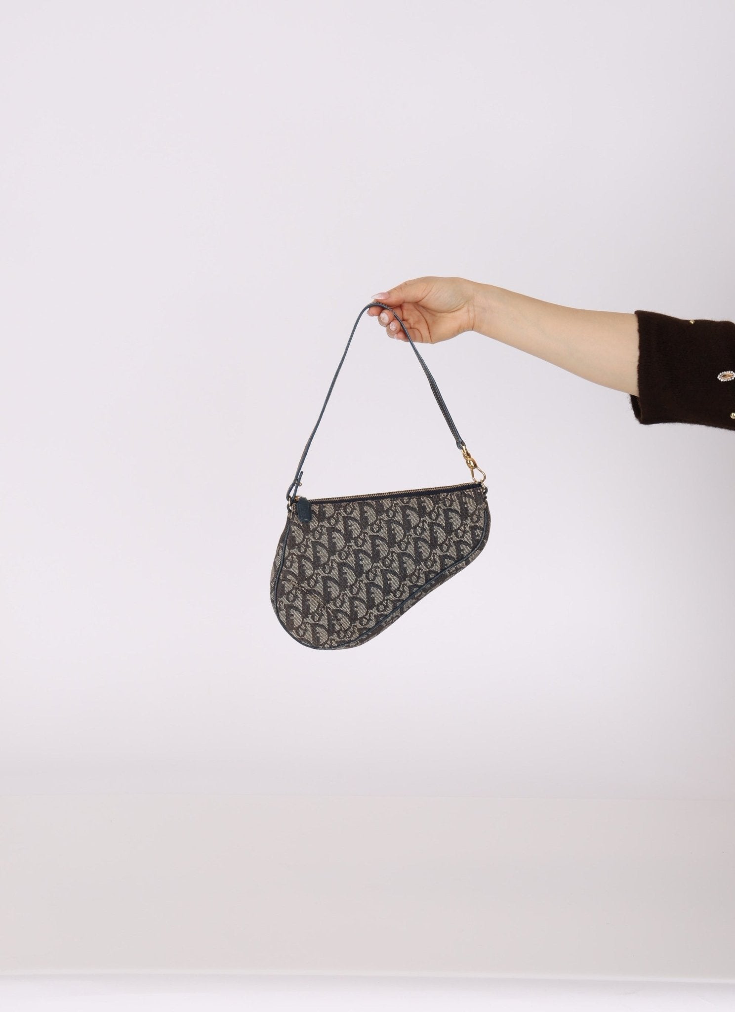 Dior 2002 Trotter Saddle Pochette - FashioNica