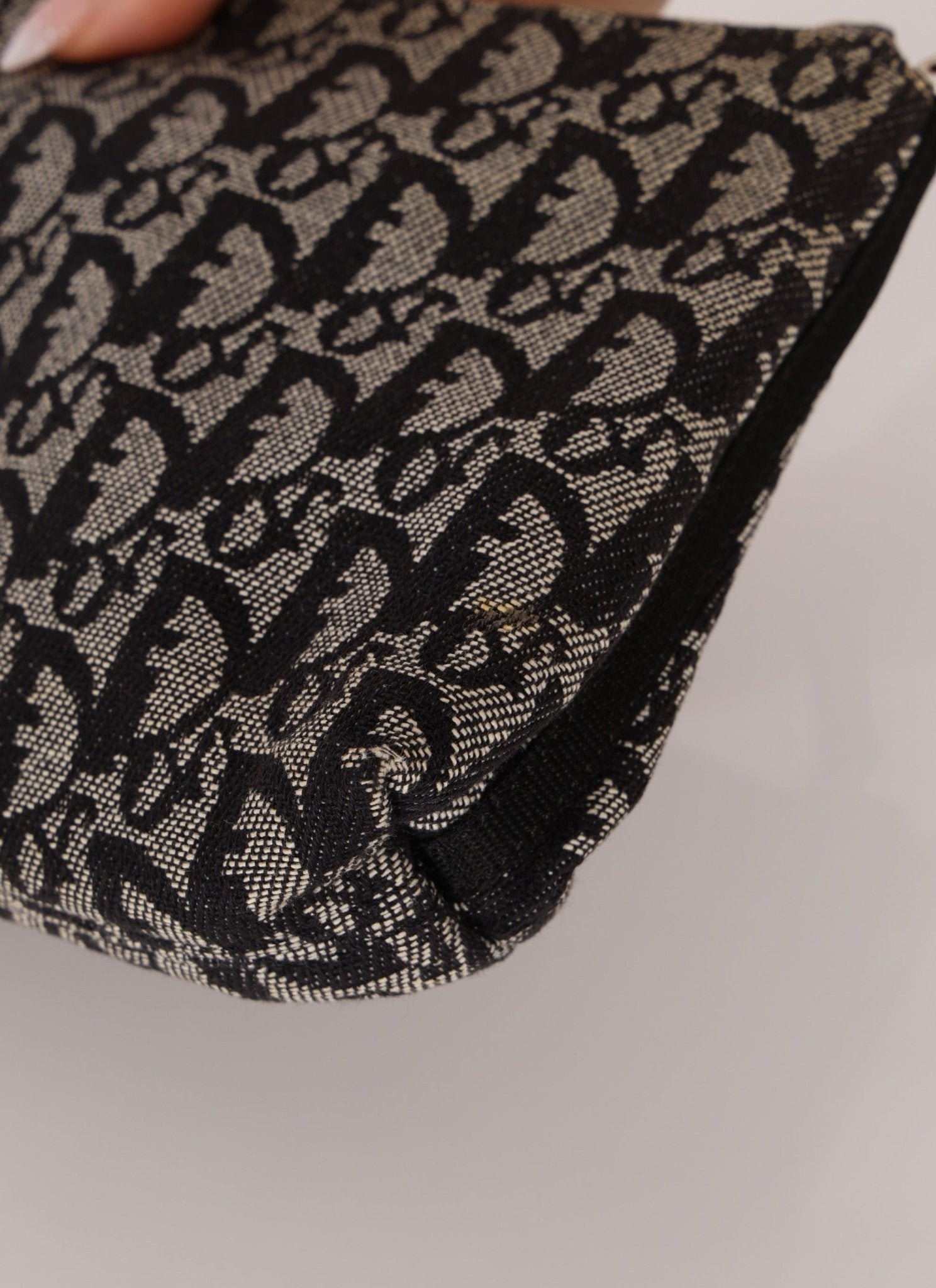 Dior 2003 Trotter Pochette - FashioNica