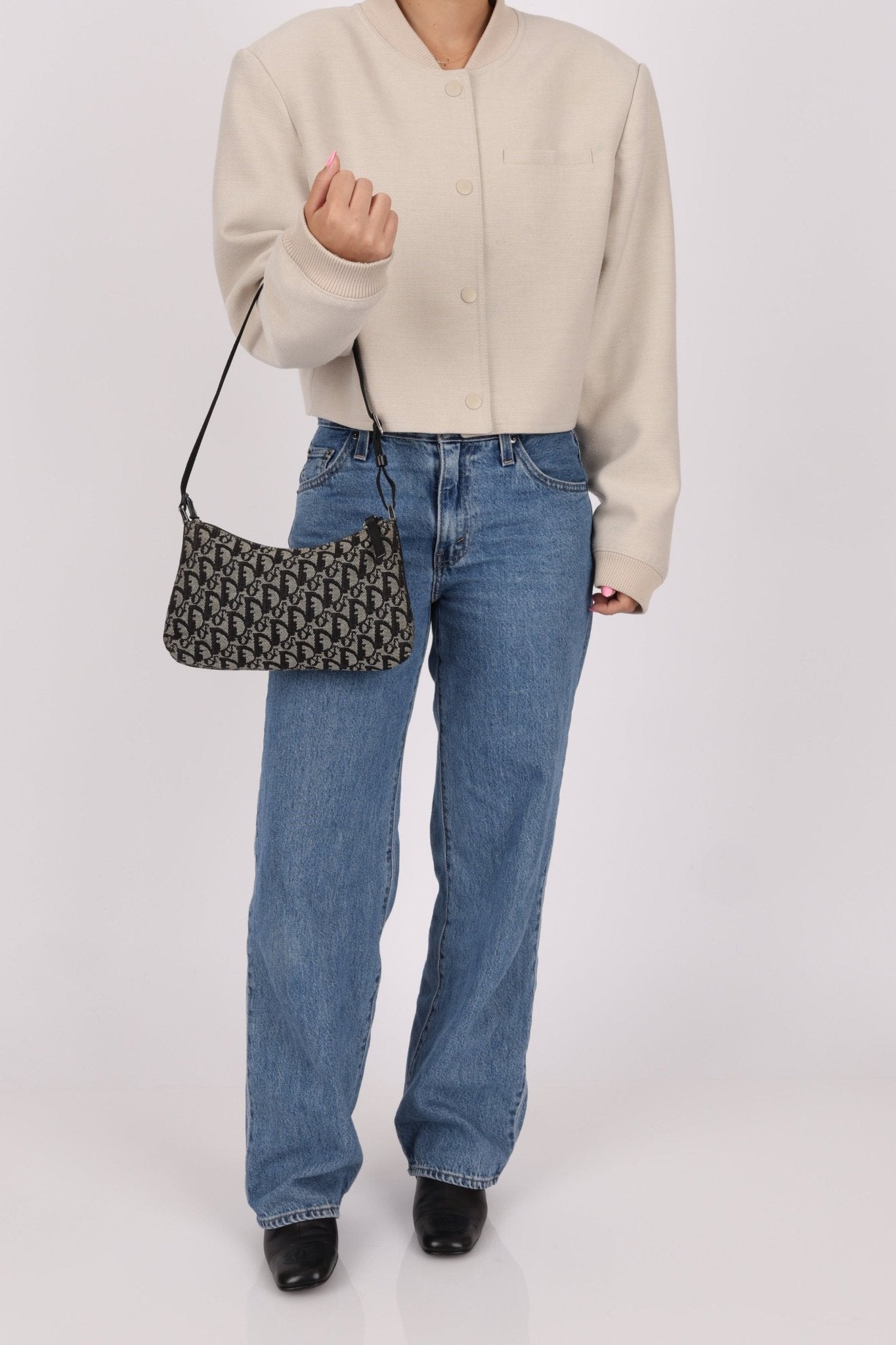 Dior 2003 Trotter Pochette - FashioNica