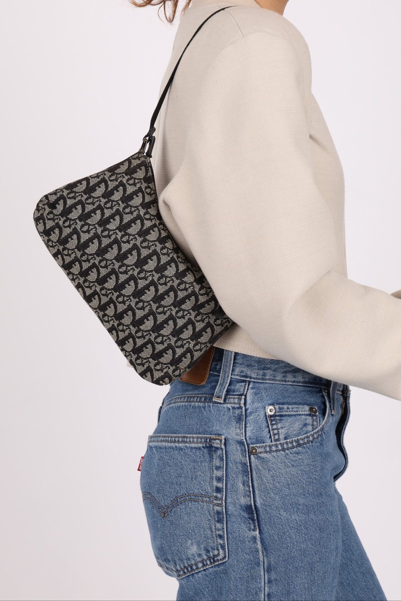 Dior 2003 Trotter Pochette - FashioNica