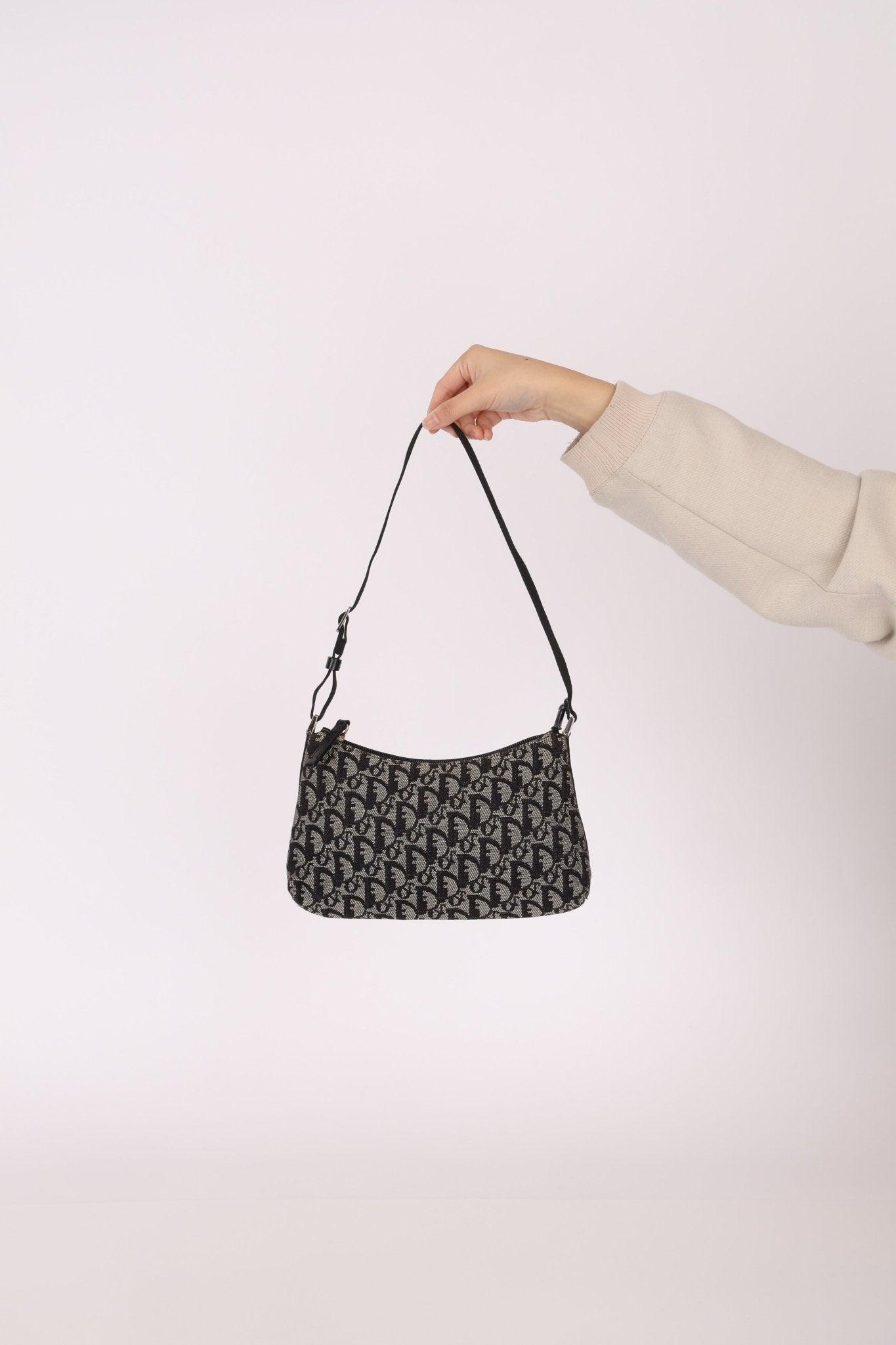 Dior 2003 Trotter Pochette - FashioNica