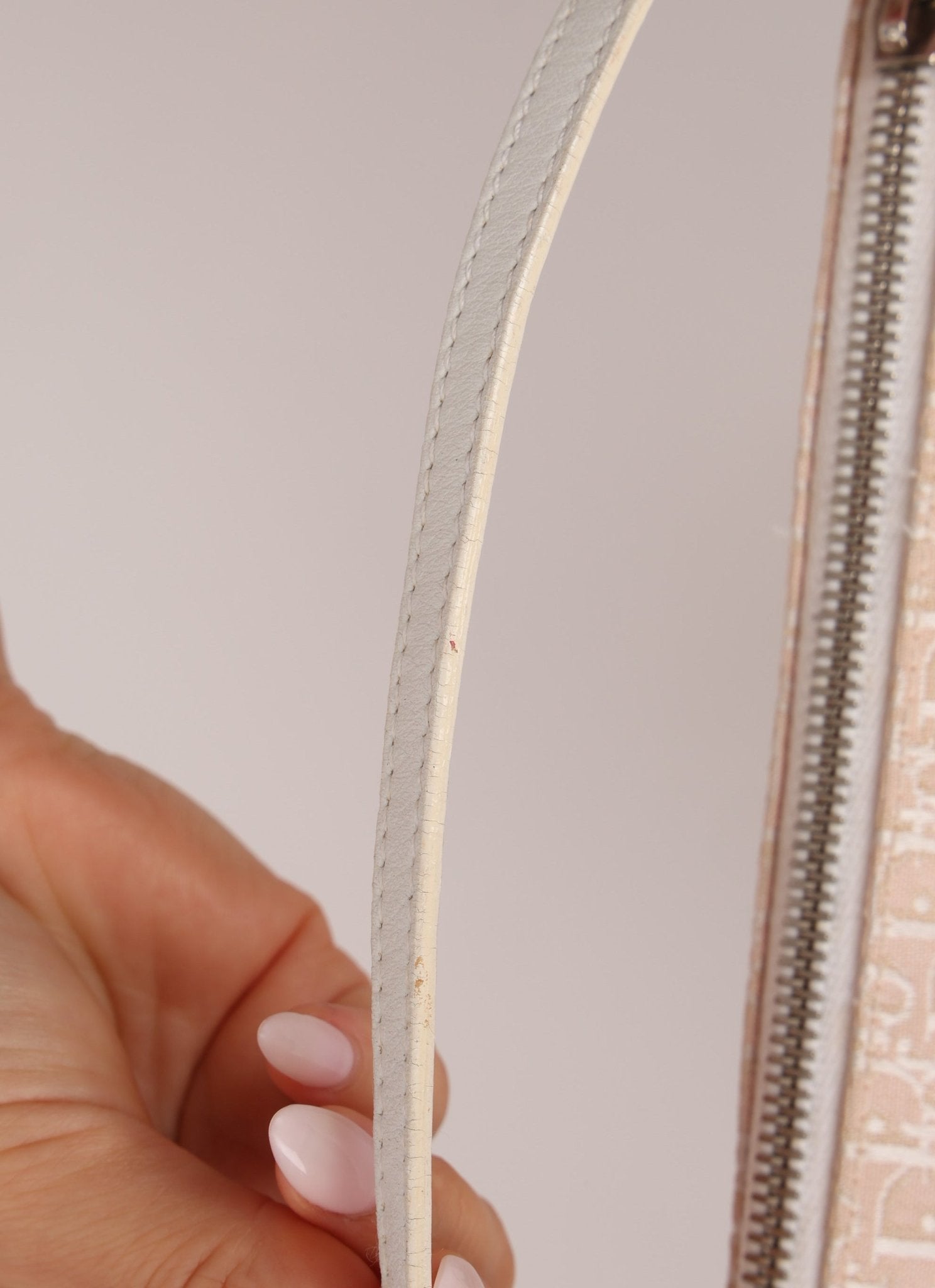Dior 2004 Pink Trotter Pochette - FashioNica