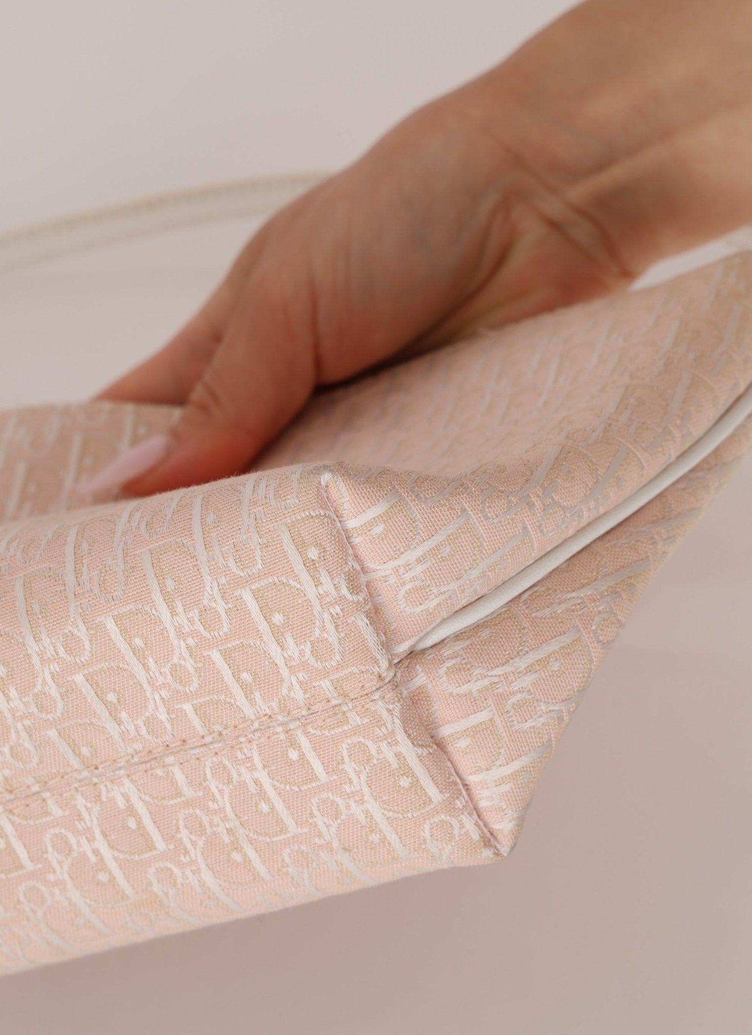 Dior 2004 Pink Trotter Pochette - FashioNica