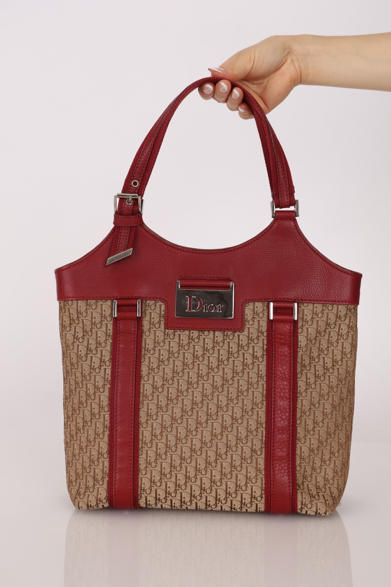 Dior 2005 Diorisimo Street Chic Tote - FashioNica
