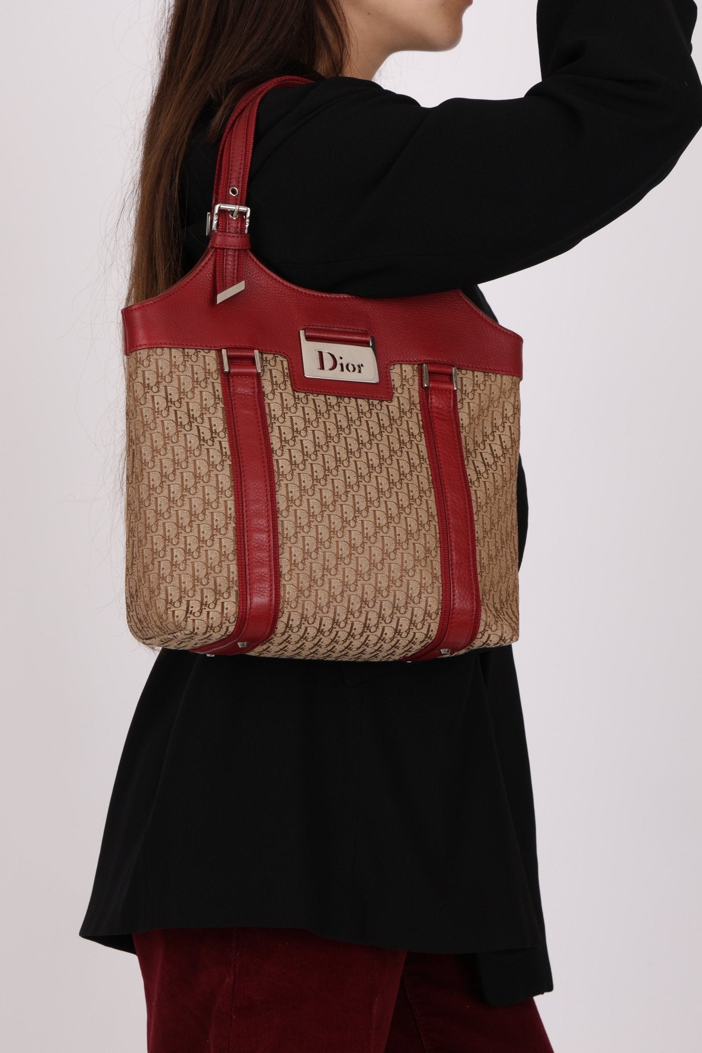 Dior 2005 Diorisimo Street Chic Tote - FashioNica