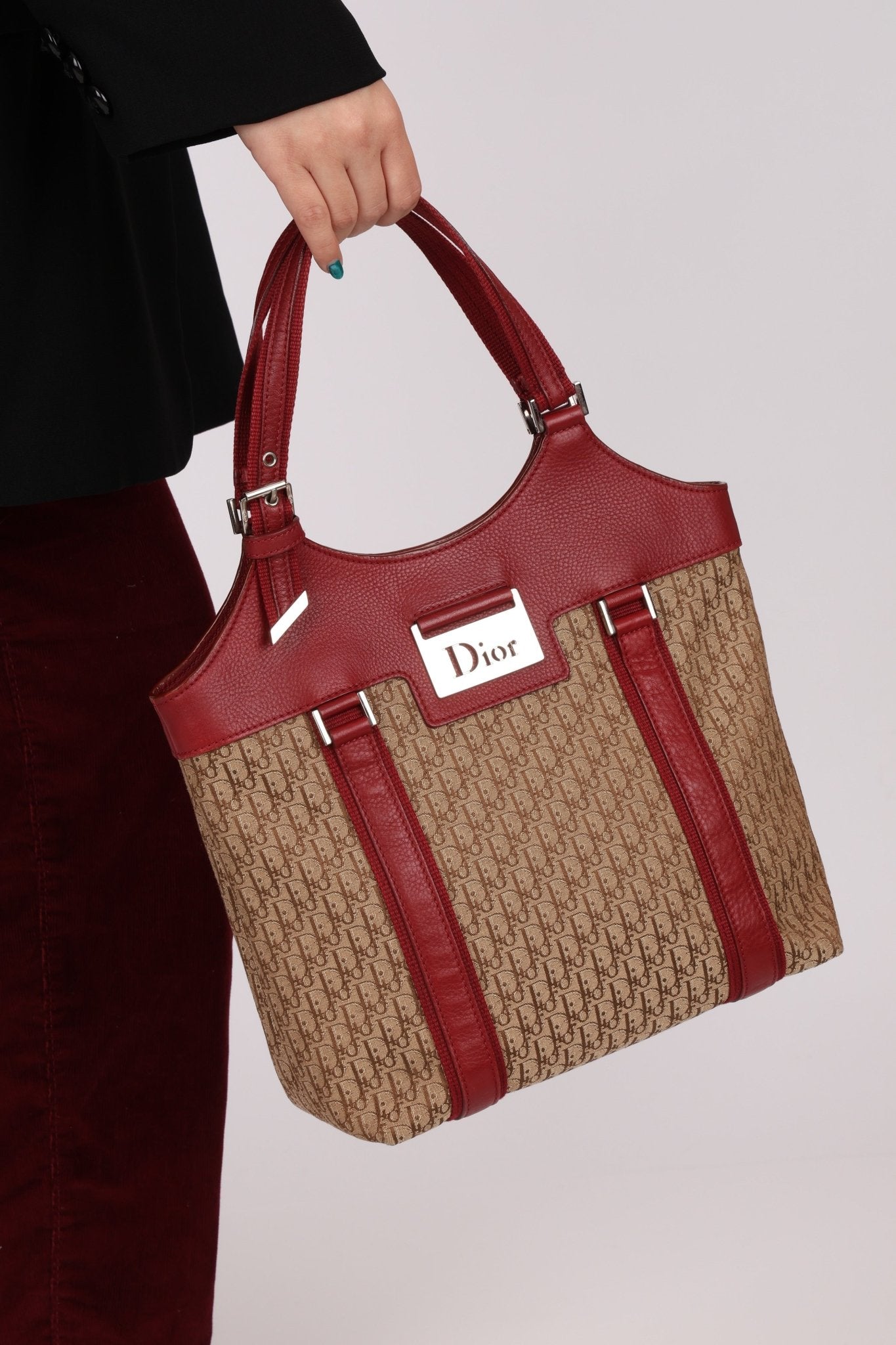 Dior 2005 Diorisimo Street Chic Tote - FashioNica