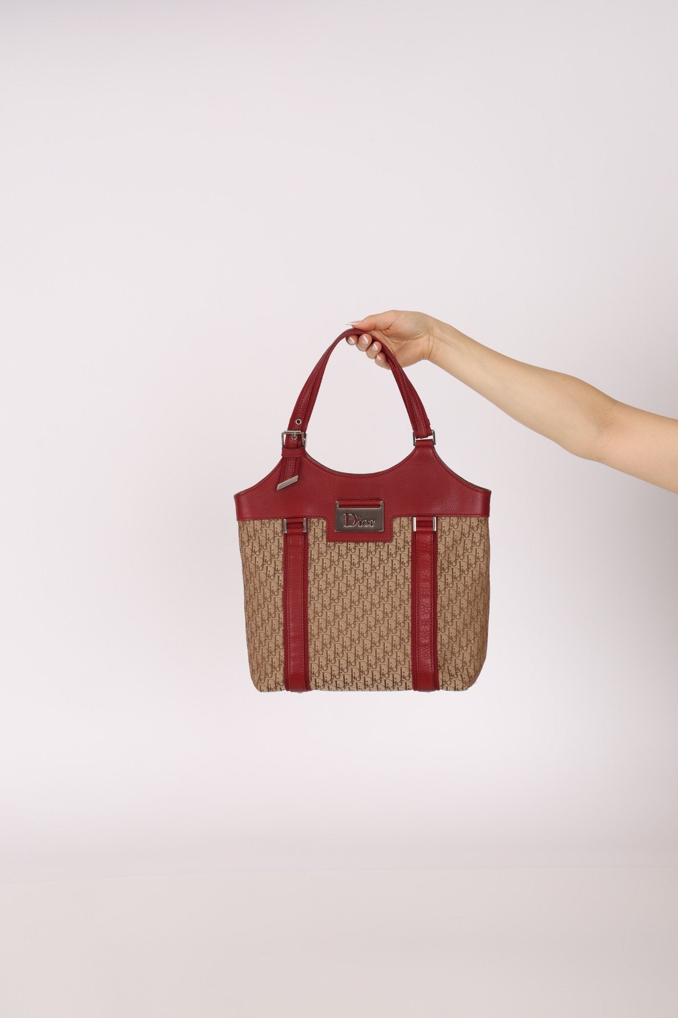 Dior 2005 Diorisimo Street Chic Tote - FashioNica