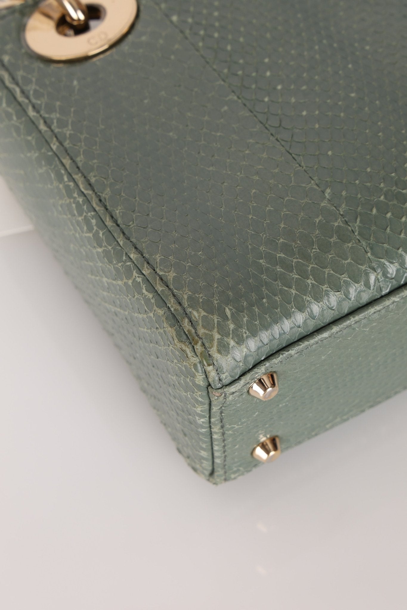 Dior 2015 Glossy Watersnake Chain Mini Lady Dior - FashioNica