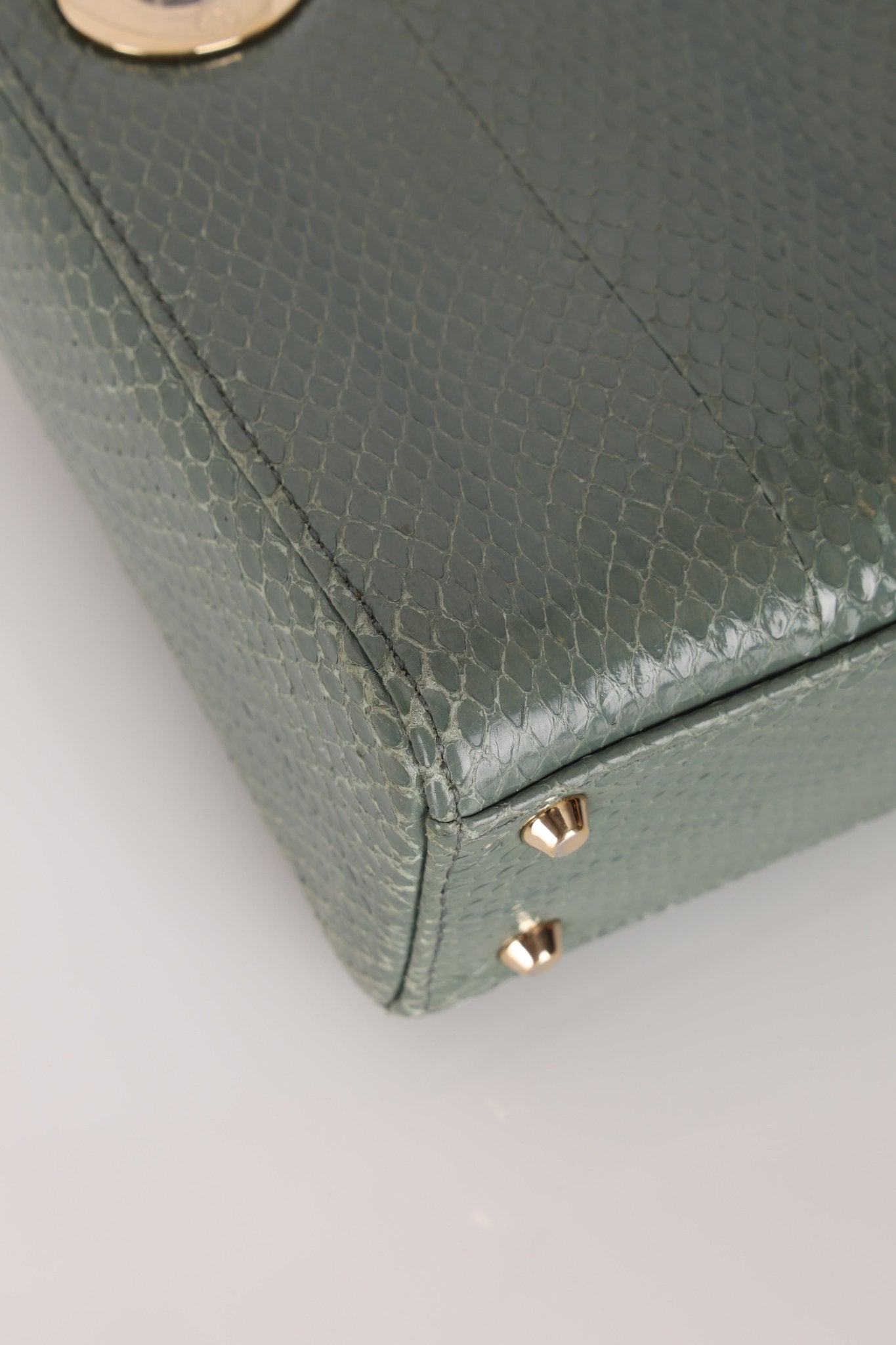 Dior 2015 Glossy Watersnake Chain Mini Lady Dior - FashioNica