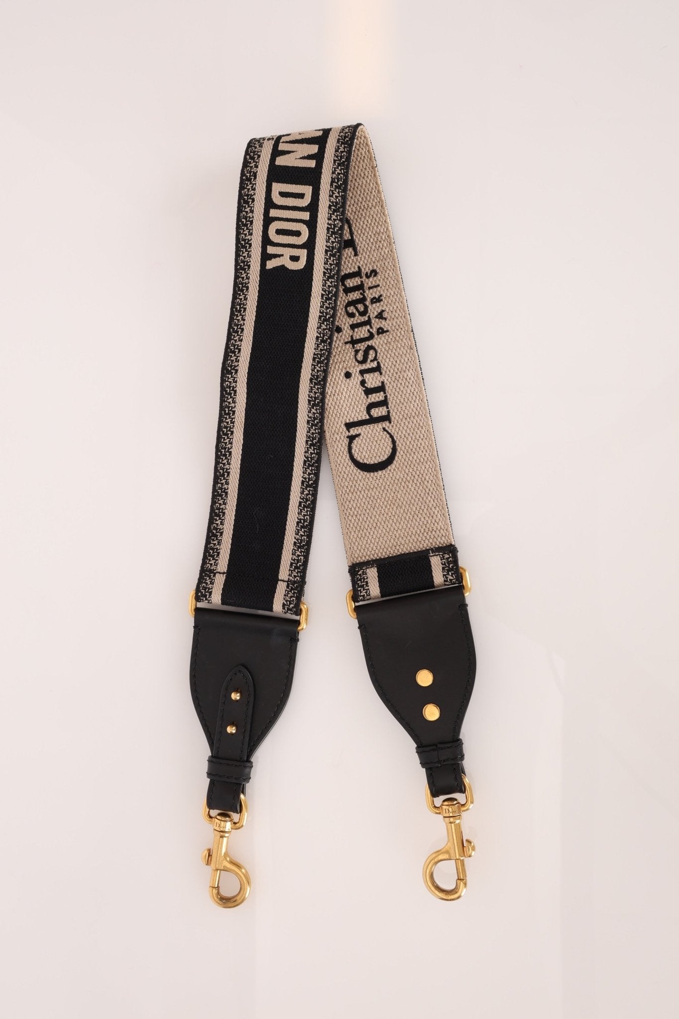 Dior 2021 Grained Calfskin Mini Saddle Bag w/ Guitar Strap - FashioNica