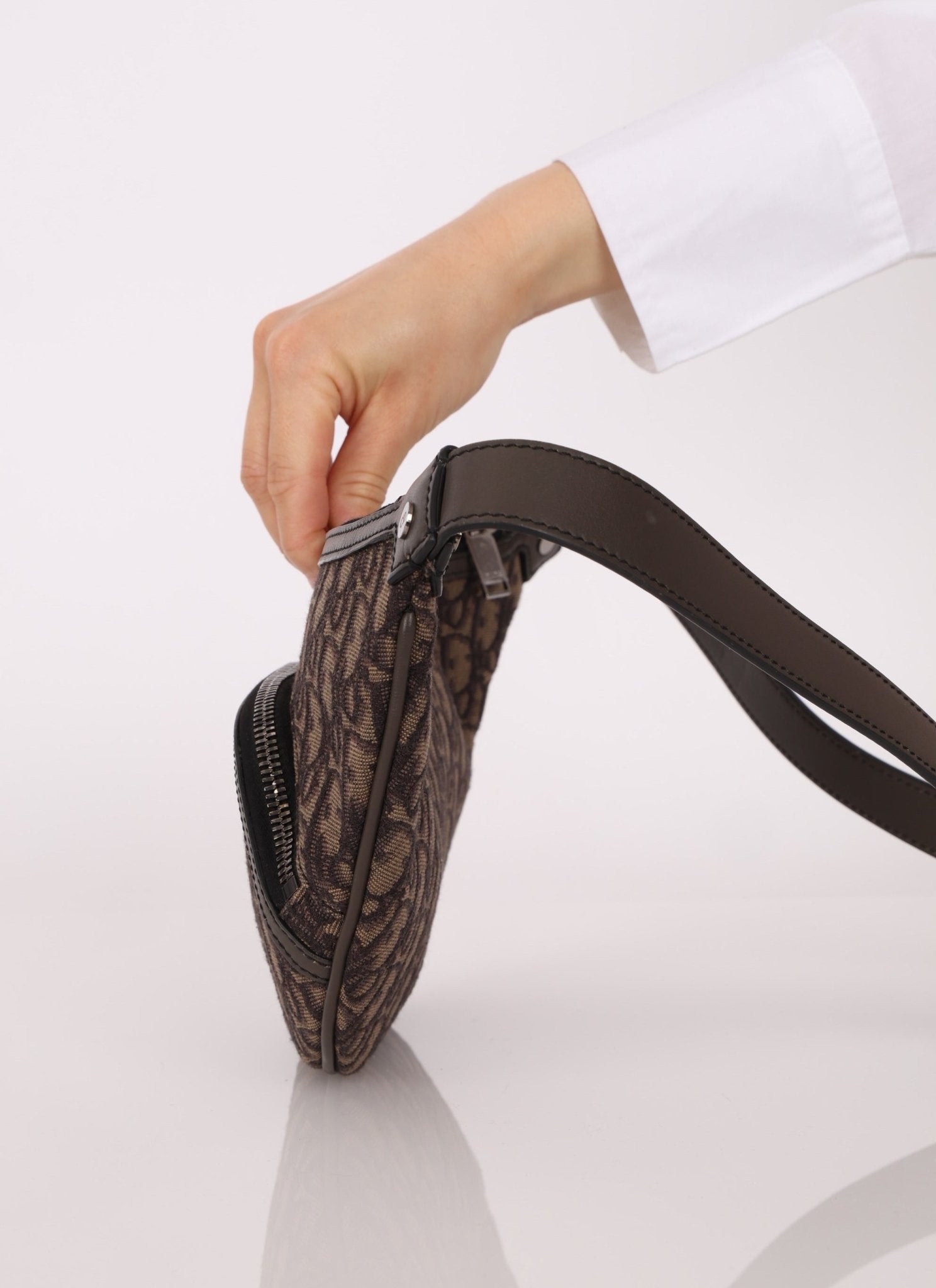 Dior 2022 Oblique Bum Bag - FashioNica