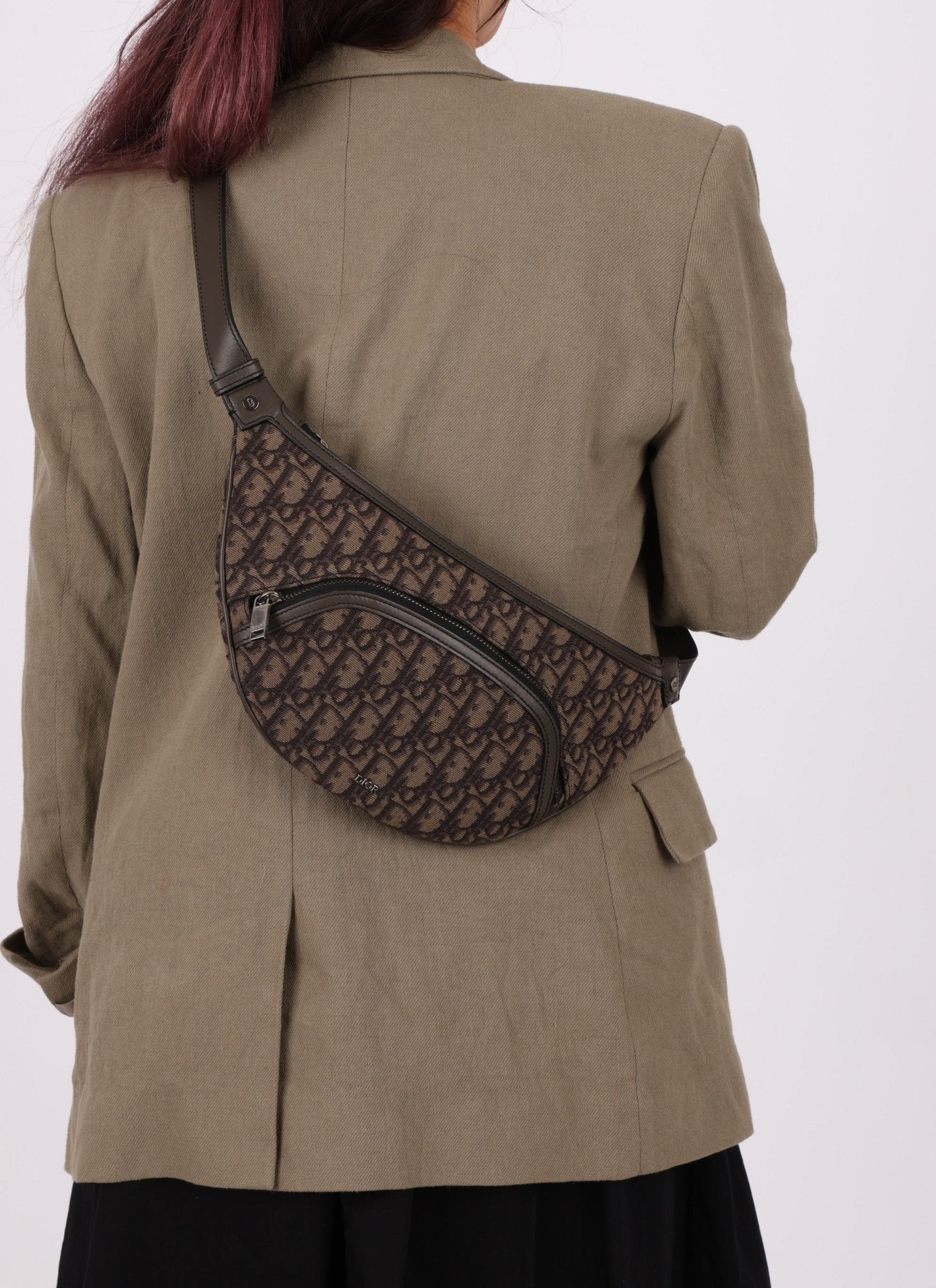 Dior 2022 Oblique Bum Bag - FashioNica