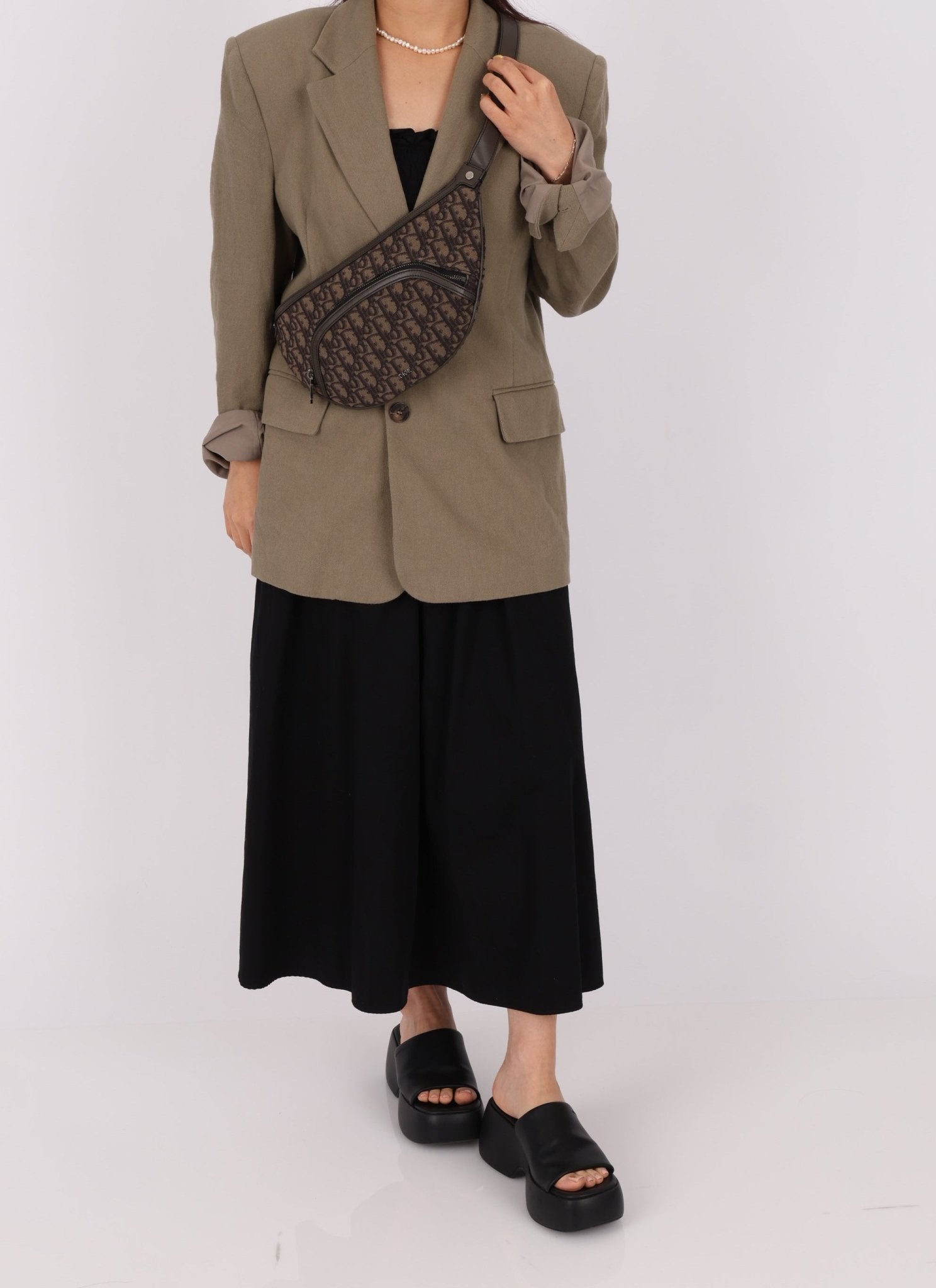 Dior 2022 Oblique Bum Bag - FashioNica