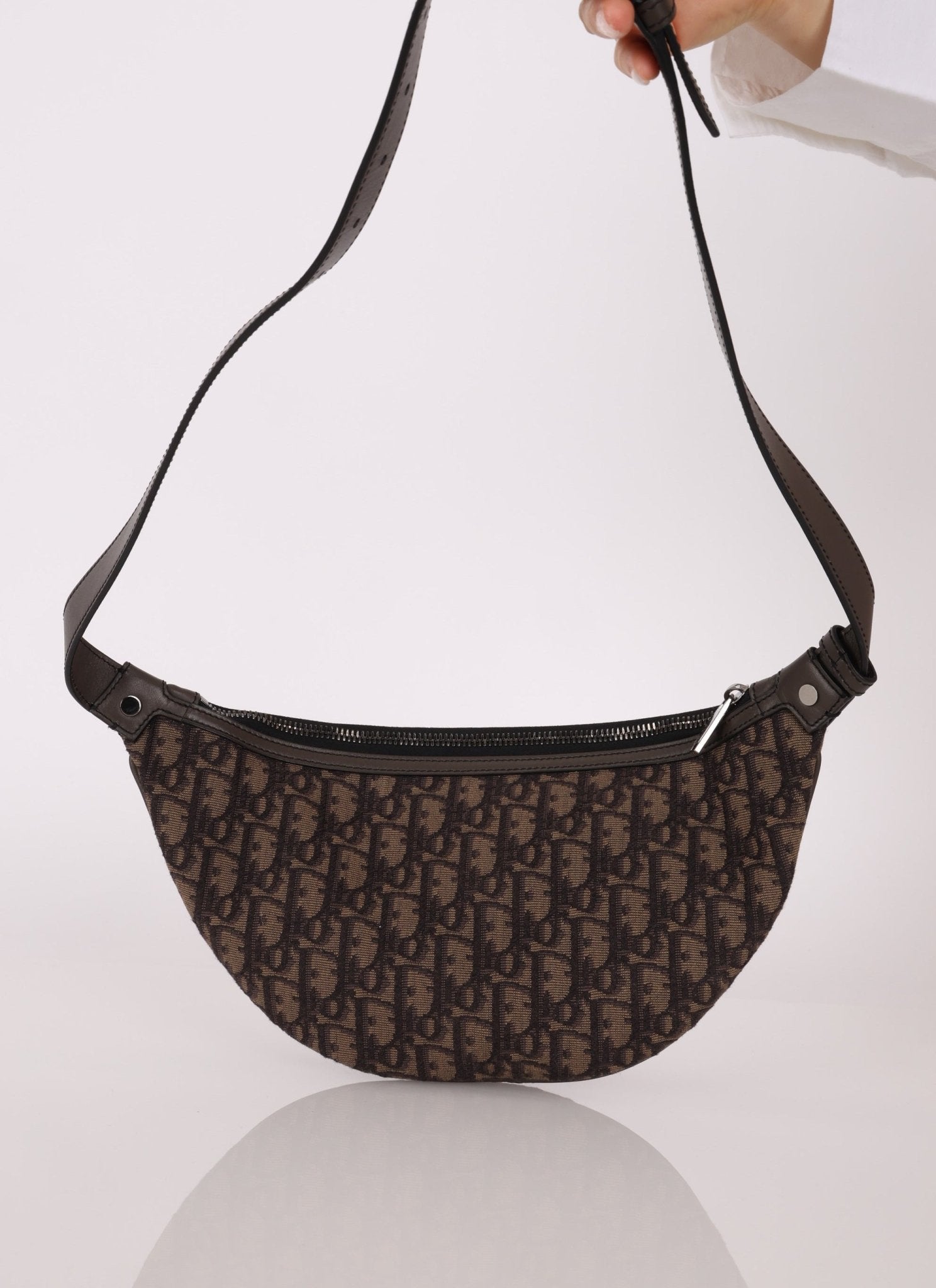 Dior 2022 Oblique Bum Bag - FashioNica