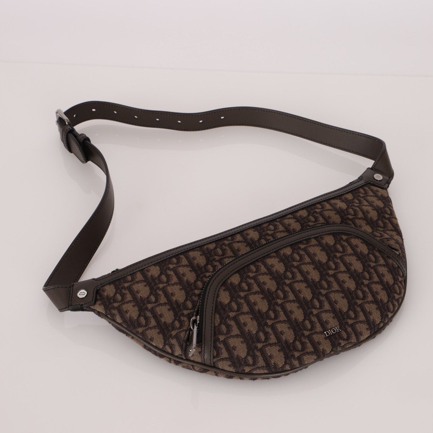 Dior 2022 Oblique Bum Bag - FashioNica