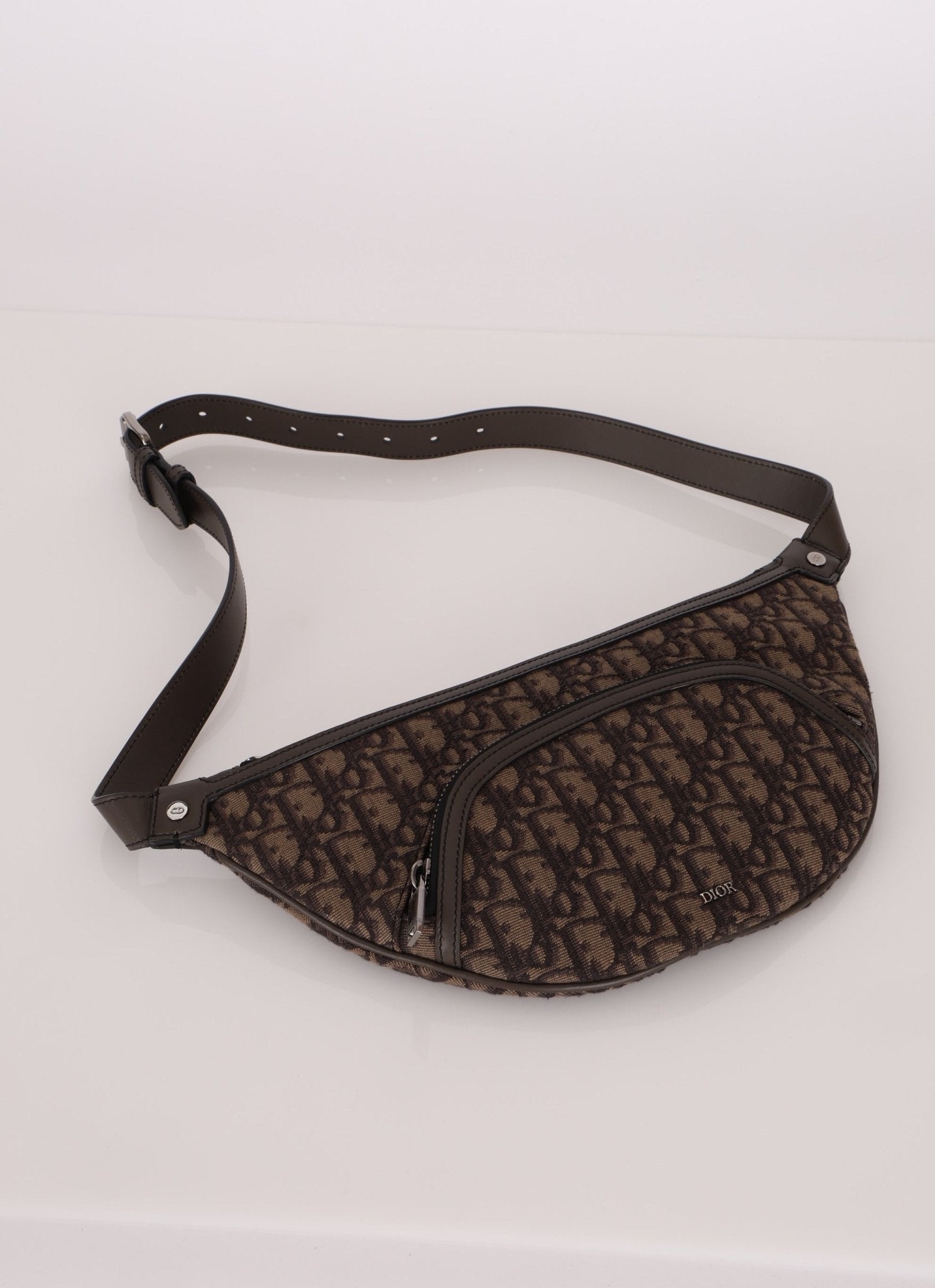 Dior 2022 Oblique Bum Bag - FashioNica