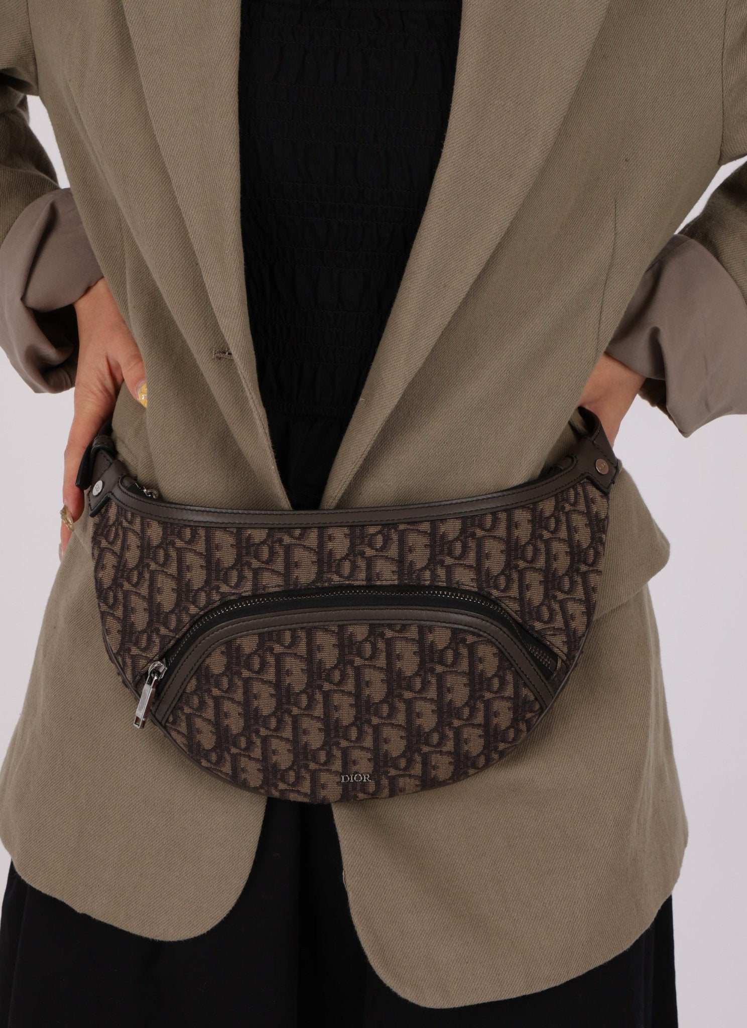 Dior 2022 Oblique Bum Bag - FashioNica