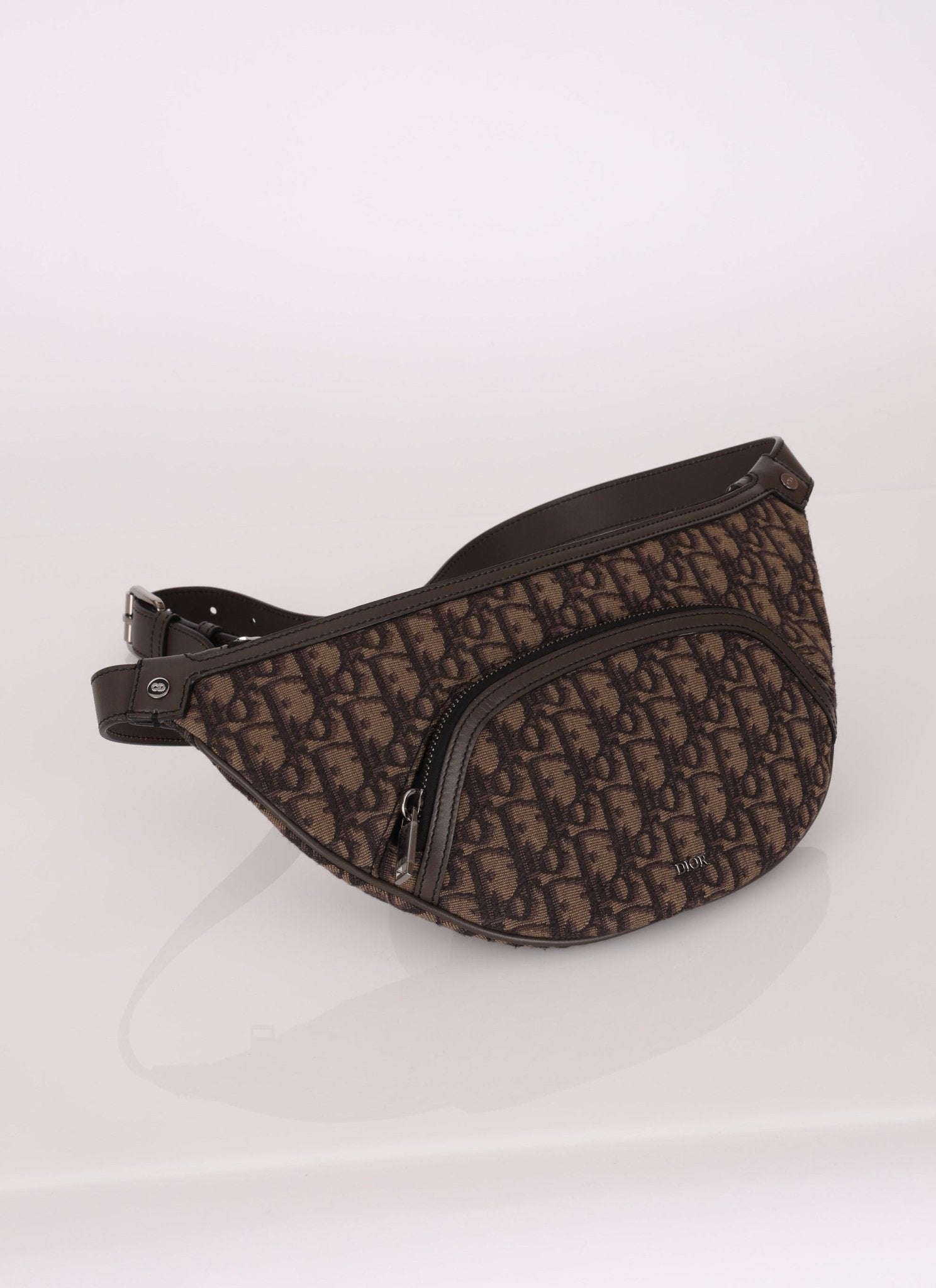 Dior 2022 Oblique Bum Bag - FashioNica