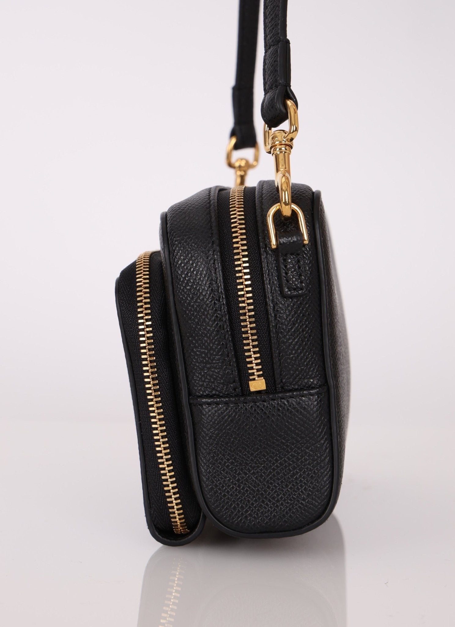 Dior 2024 Calfskin Caro Double Pouch Camera Bag - FashioNica