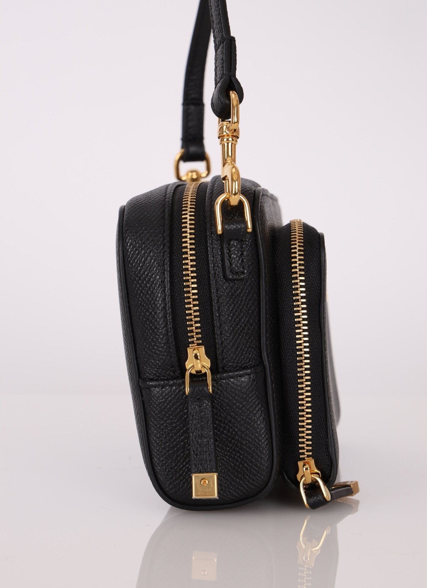 Dior 2024 Calfskin Caro Double Pouch Camera Bag - FashioNica