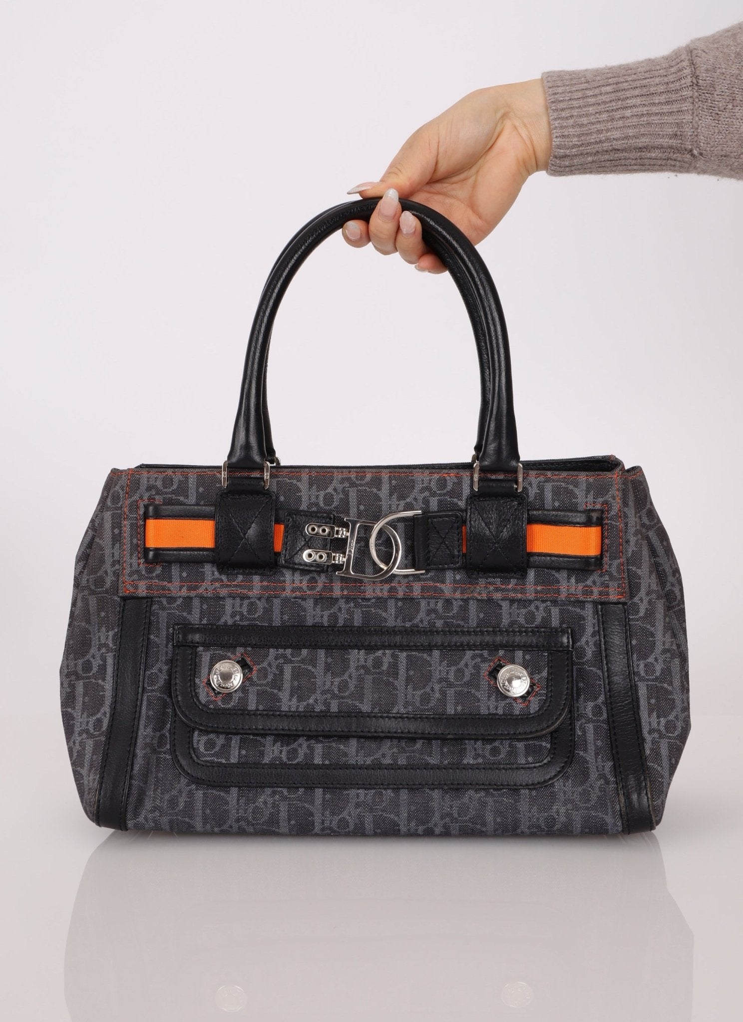 Dior x John Galliano 2006 Trotter Flight Small Tote - FashioNica