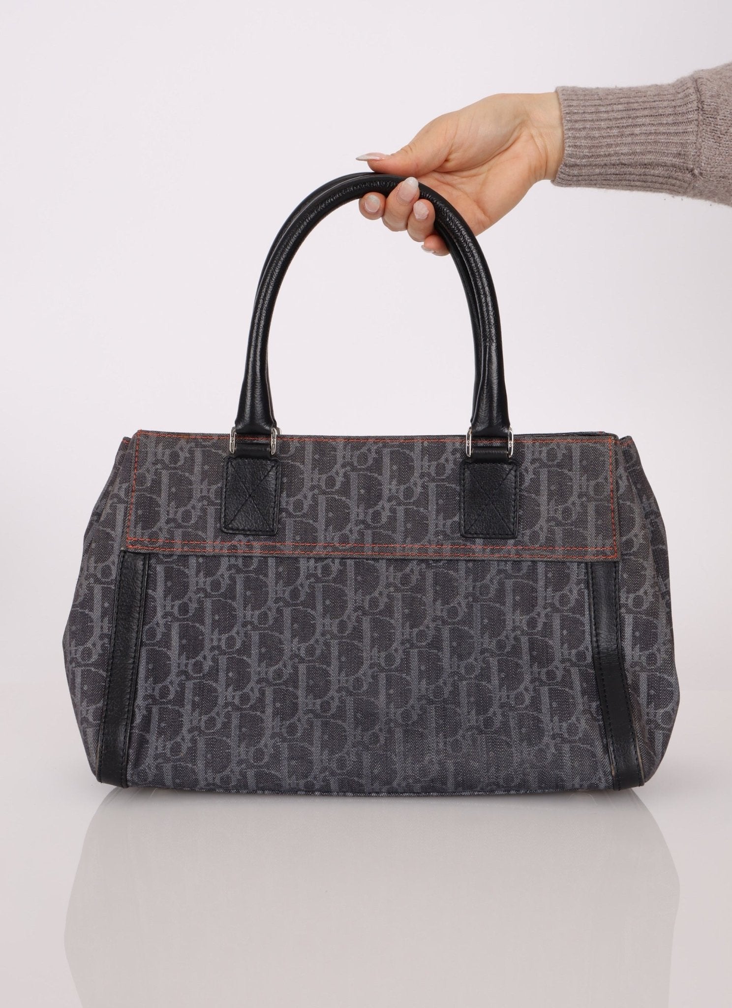 Dior x John Galliano 2006 Trotter Flight Small Tote - FashioNica