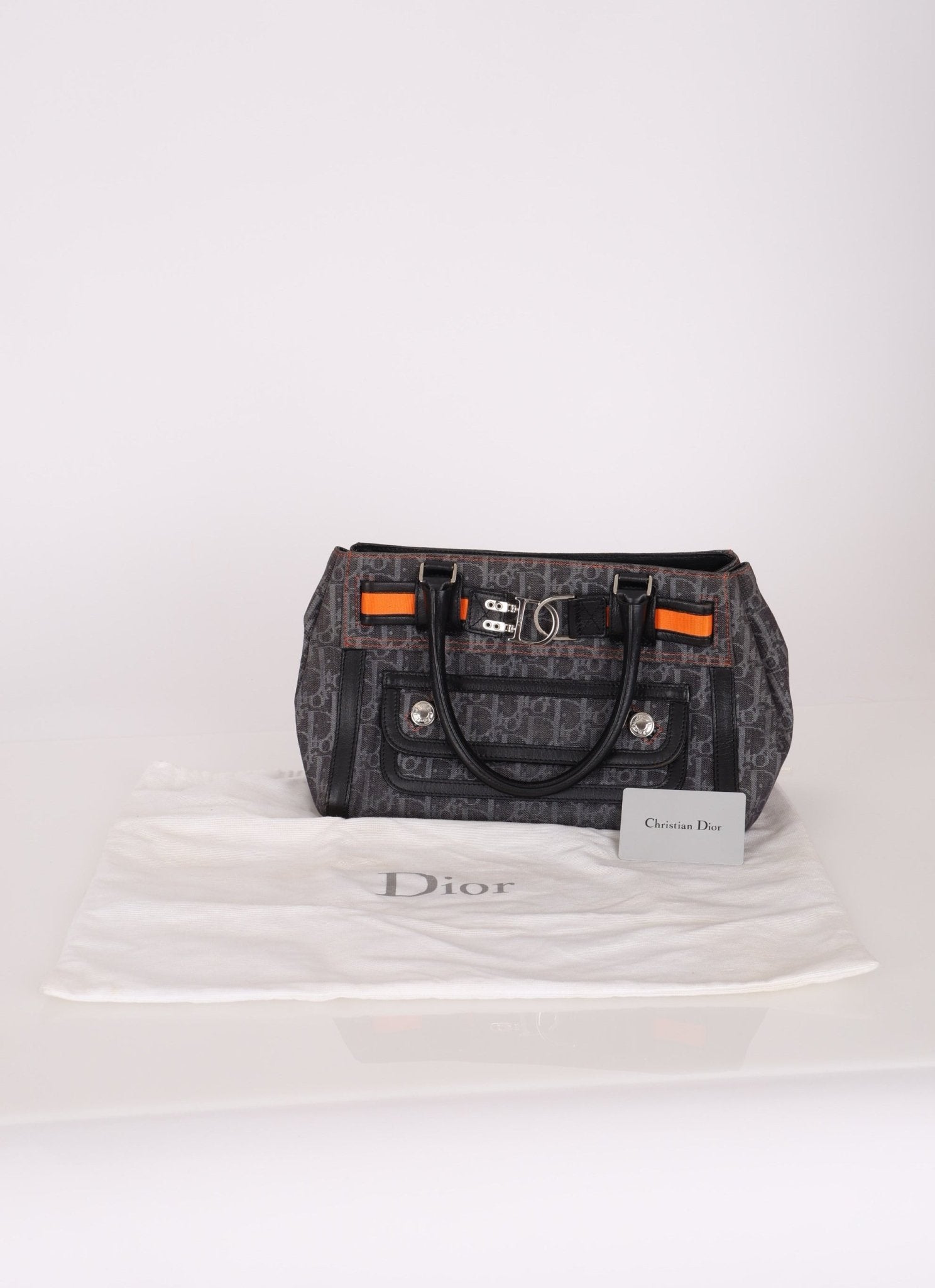 Dior x John Galliano 2006 Trotter Flight Small Tote - FashioNica