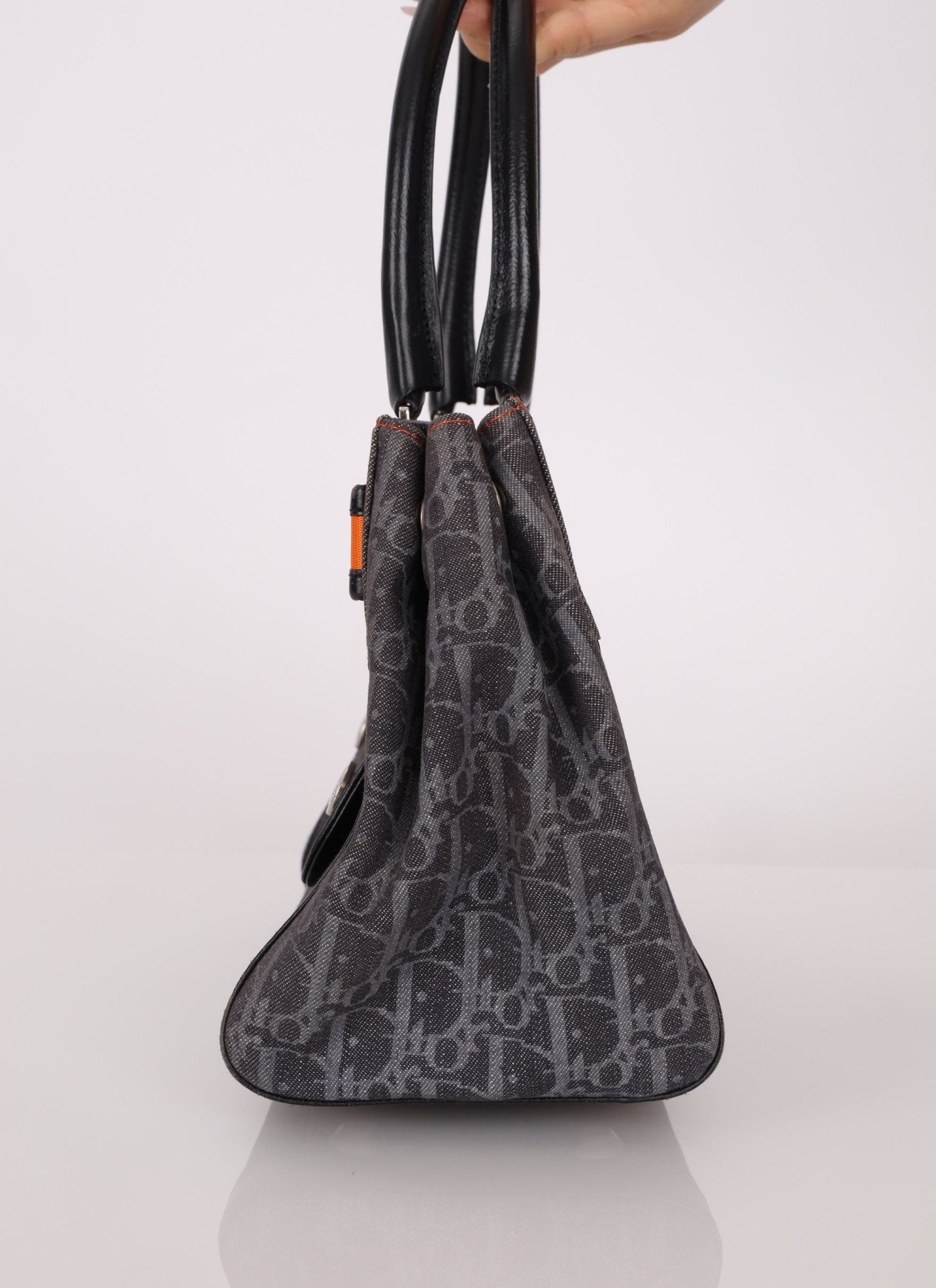 Dior x John Galliano 2006 Trotter Flight Small Tote - FashioNica