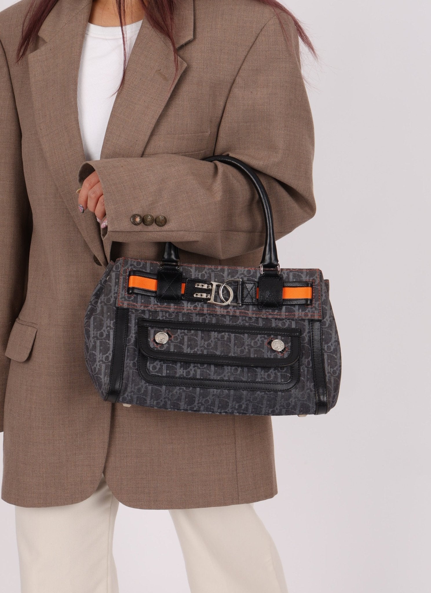 Dior x John Galliano 2006 Trotter Flight Small Tote - FashioNica