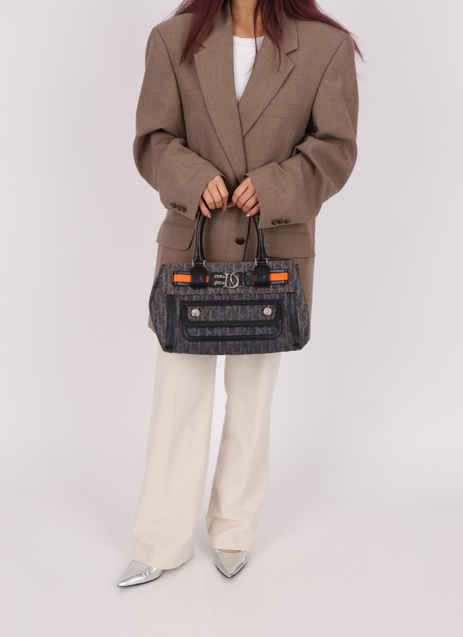 Dior x John Galliano 2006 Trotter Flight Small Tote - FashioNica