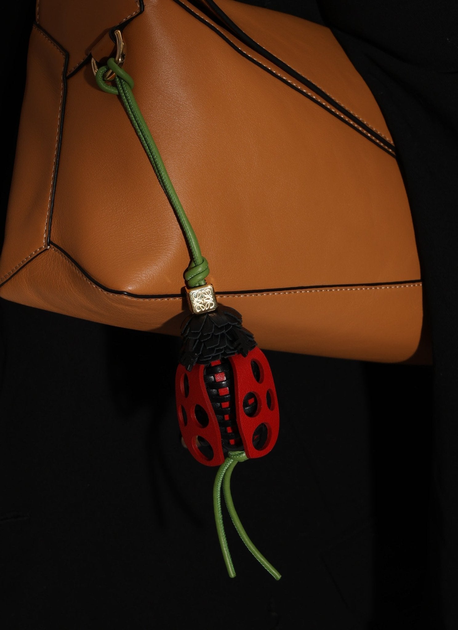 Discontinued Rare Loewe Calfskin Ladybug Charm - FashioNica