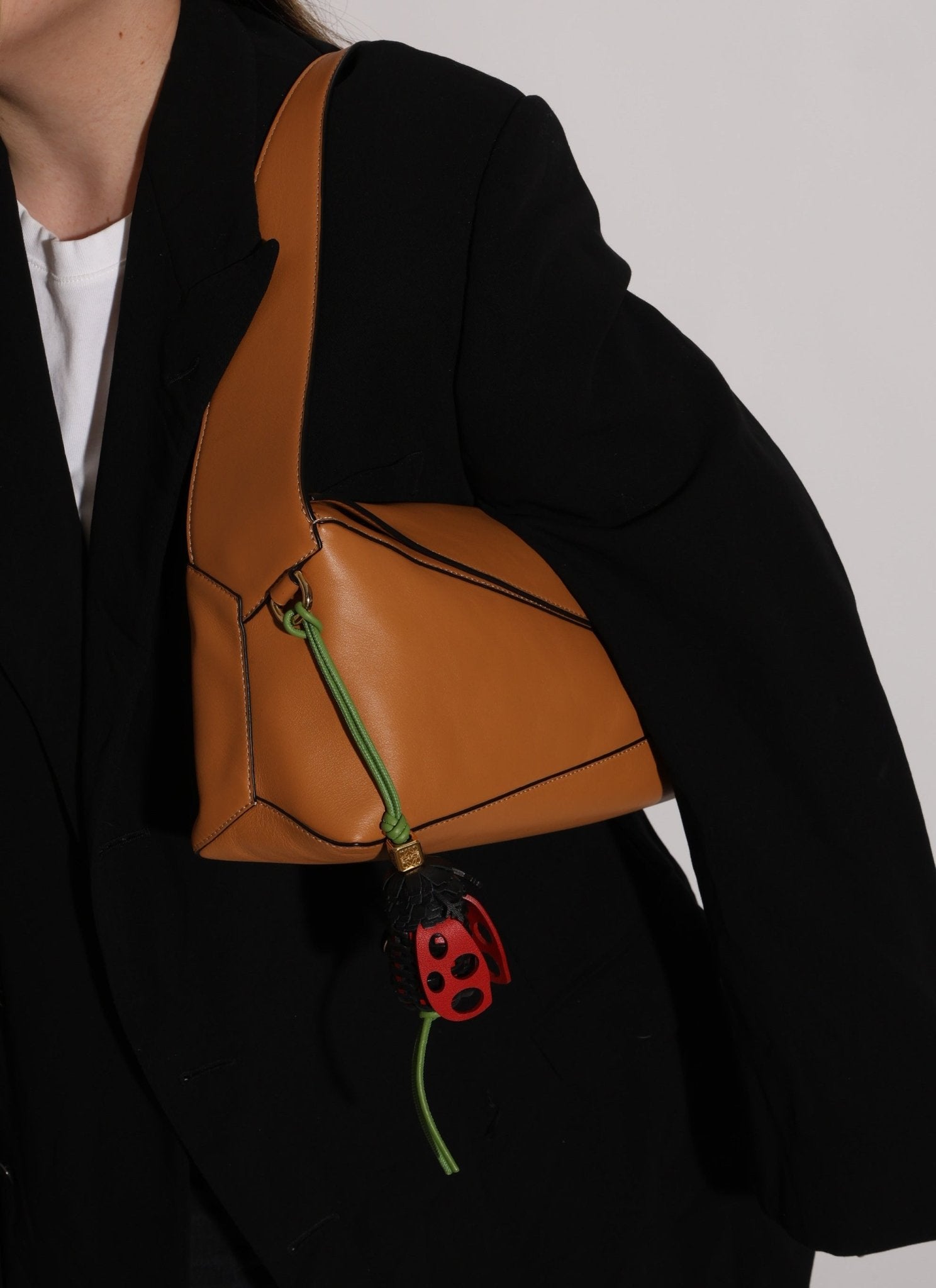 Discontinued Rare Loewe Calfskin Ladybug Charm - FashioNica