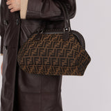 Fendi Zucca Adele Frame Bag - FashioNica