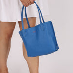 Goyard Anjou Sky Blue Mini Reversible Leather Tote - FashioNica