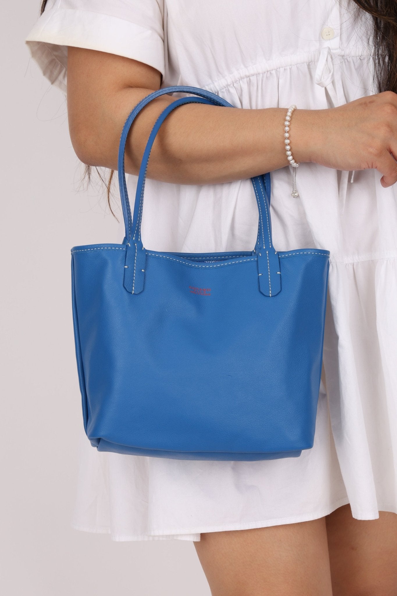 Goyard Anjou Sky Blue Mini Reversible Leather Tote - FashioNica