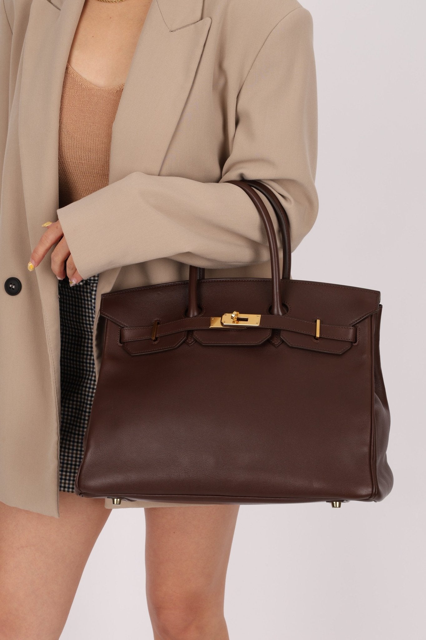 Hermès 2007 Terre Gulliver Retourne Birkin 35 GHW - FashioNica