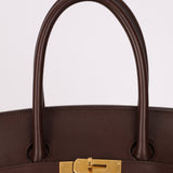 Hermès 2007 Terre Gulliver Retourne Birkin 35 GHW - FashioNica