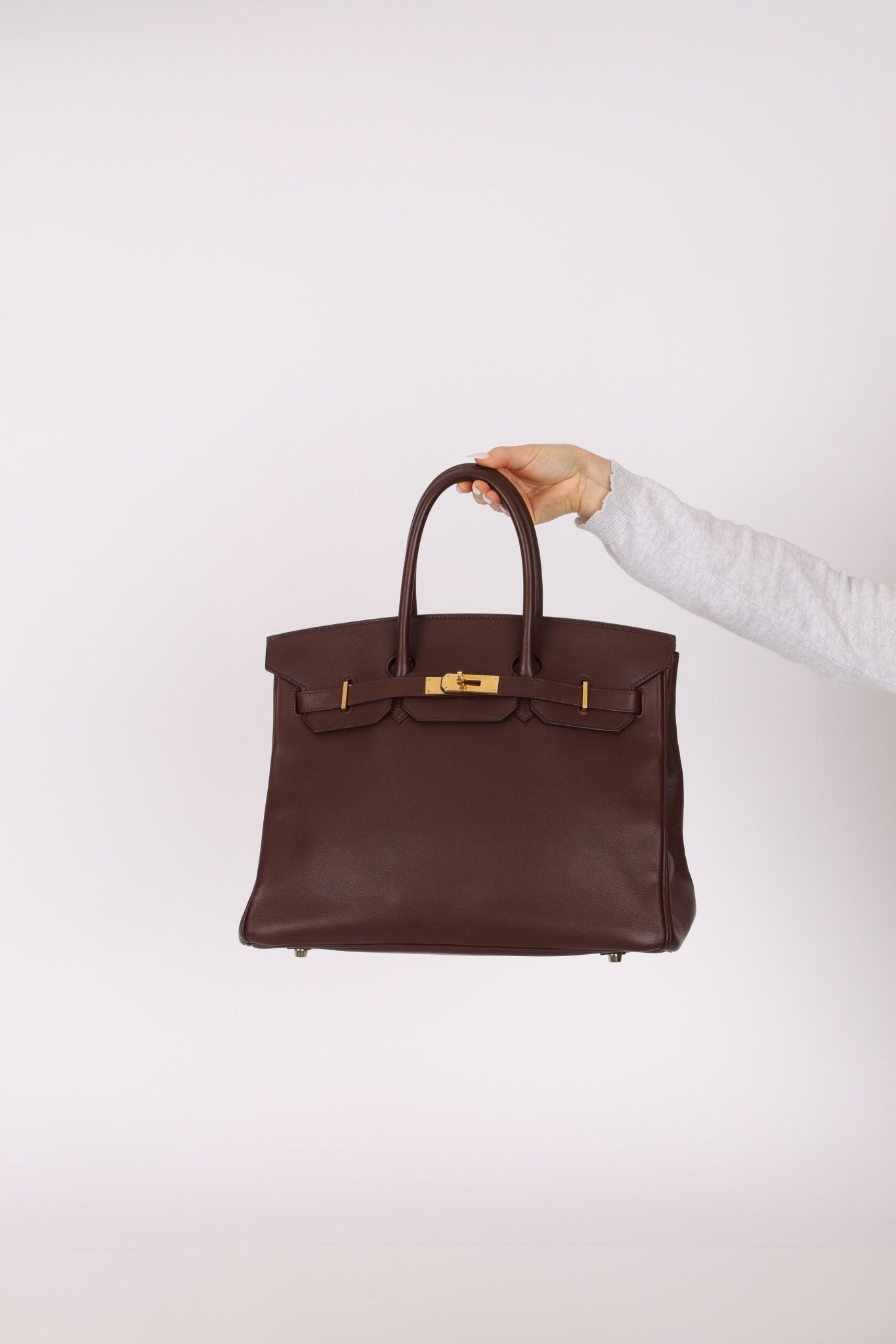 Hermès 2007 Terre Gulliver Retourne Birkin 35 GHW - FashioNica