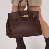 Hermès 2007 Terre Gulliver Retourne Birkin 35 GHW - FashioNica