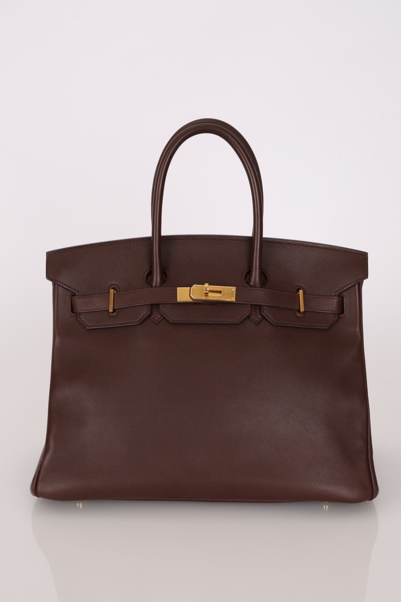 Hermès 2007 Terre Gulliver Retourne Birkin 35 GHW - FashioNica
